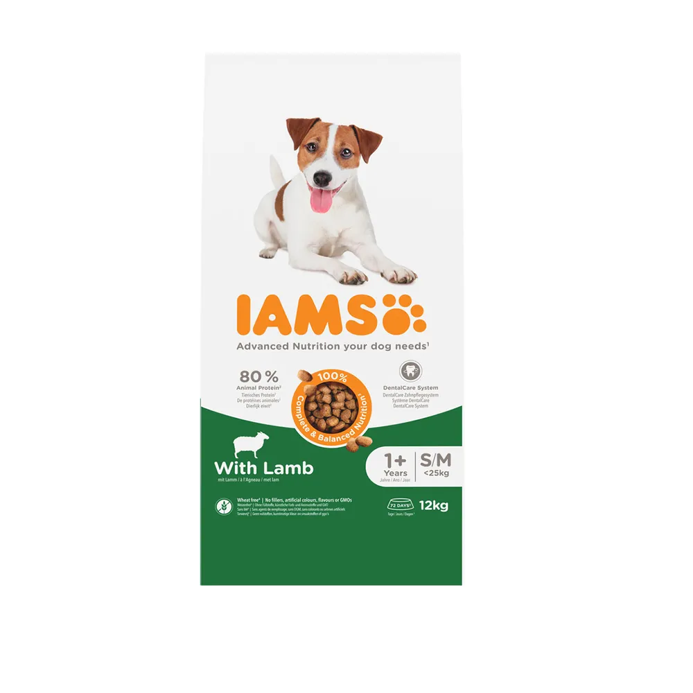 IAMS Adult Câine Mic/Mediu Miel, 80% Proteine & Anti-Tartru, 12 Kg