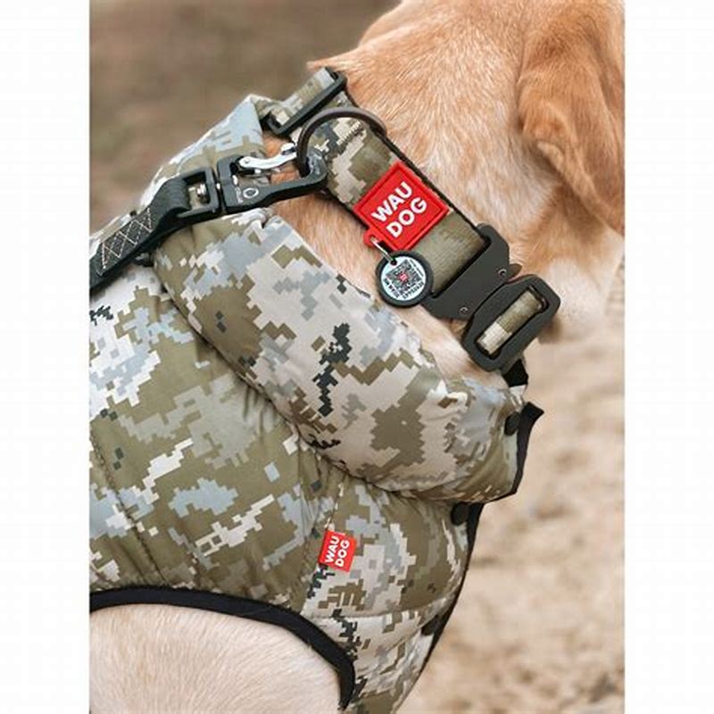 Waudog Ham nylon cu QR code Vitrage 25mmx60-90 cm - detalii ambalaj