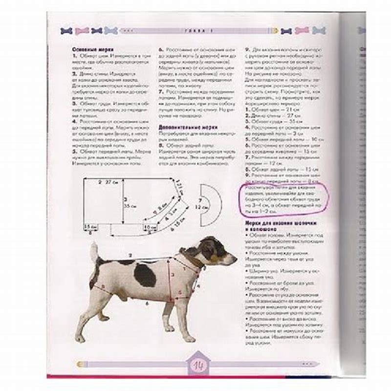 Haine pentru catei accesorii tip 2 - detalii ambalaj