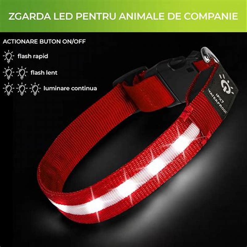 BOSS Dog Essentials zgarda lesa pentru caini - detalii ambalaj