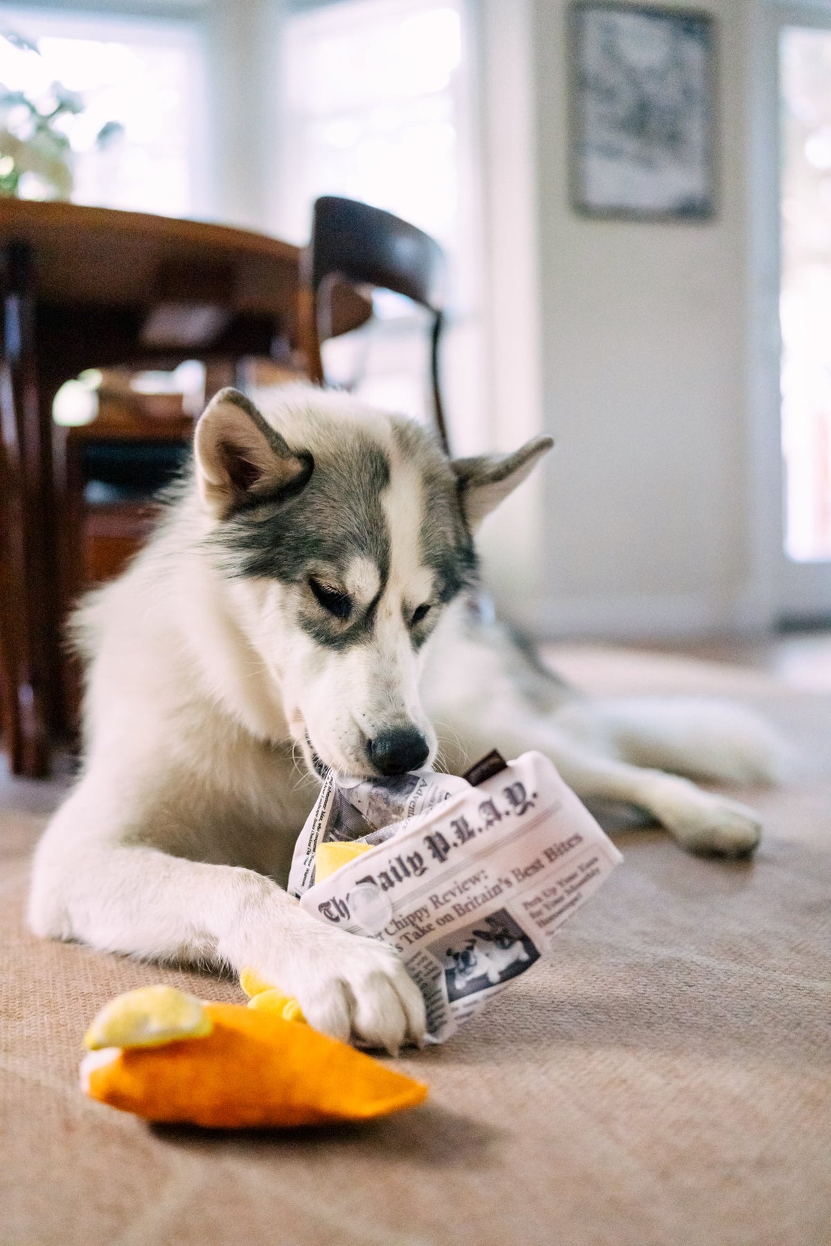 PLAY Chippy Chews