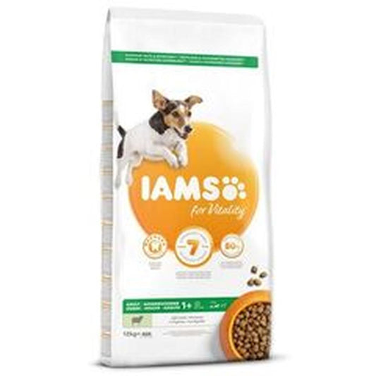 IAMS Adult Small & Medium Miel, DentalCare & 80% Proteine, 12 Kg