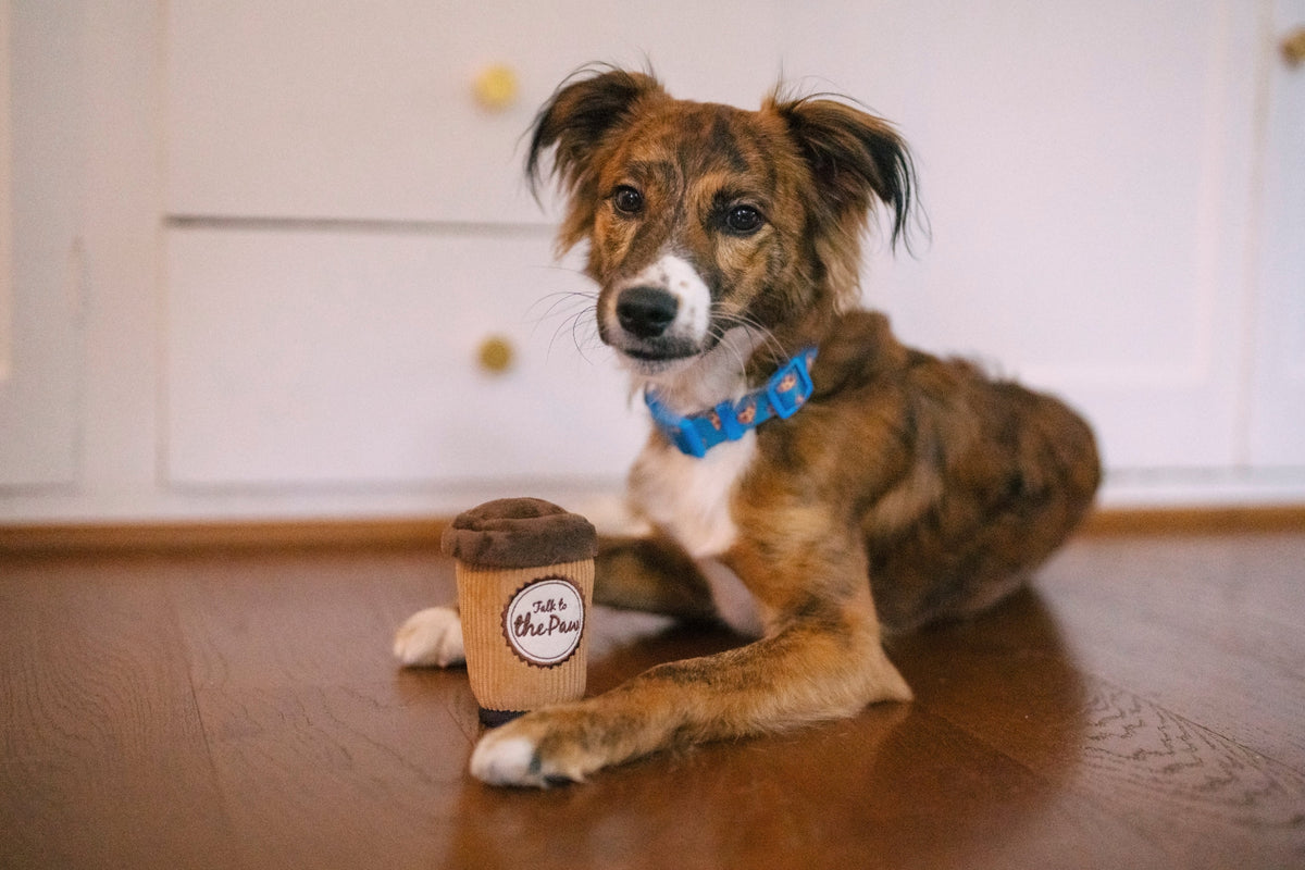 Jucarie PLAY Pup Cup Café - Doggo’s Java