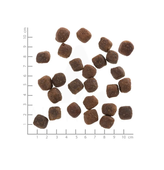 Wolfsblut Deep Glade hrana uscata pentru caini adulti 2 kg