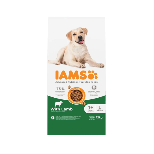 IAMS Adult Câine Talie Mare Miel, Anti-Tartru & Vitalitate, 12 Kg