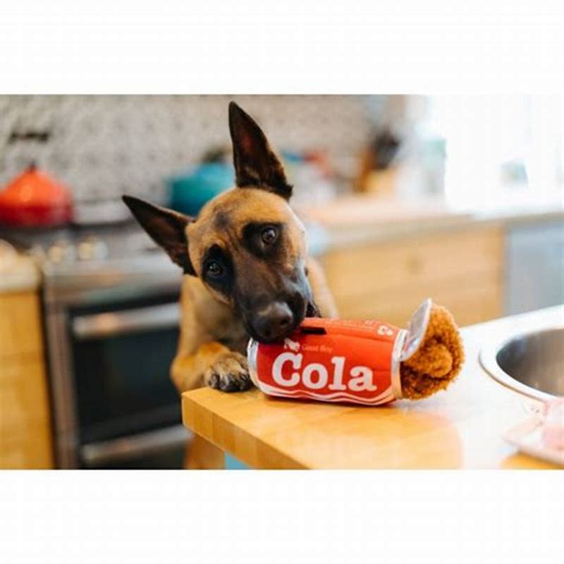 PLAY JUCARIE Snack Attack_Good Boy Cola - imagine produs