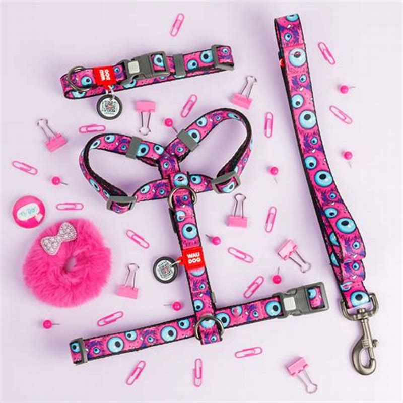 Waudog Ham nylon cu QR code Dreamcatcher 20mm50-80 cm - detalii ambalaj