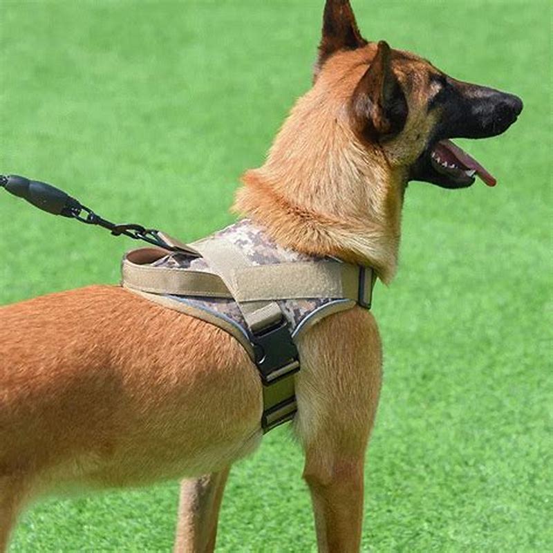 BOSS Dog Essentials ham pentru caini marime L-XL - imagine produs