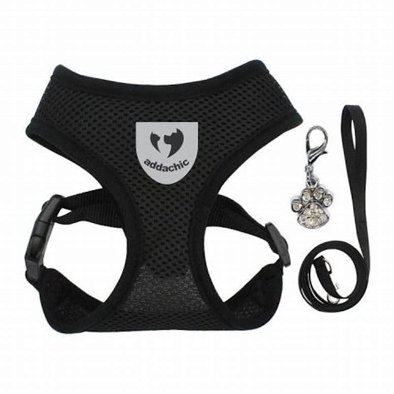 Set ham si lesa negru S - detalii ambalaj