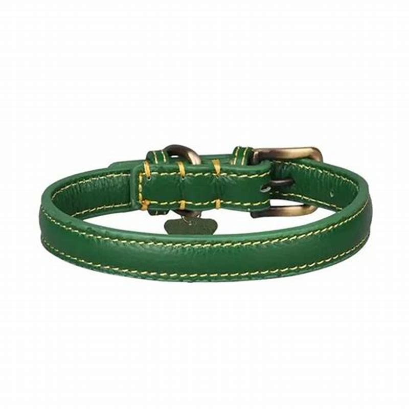 Chadog Zgarda Simili Verde 40cmx20mm - vedere frontală