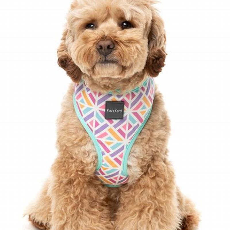 FuzzYard Flash Harness - Bubblegum XS - imagine produs