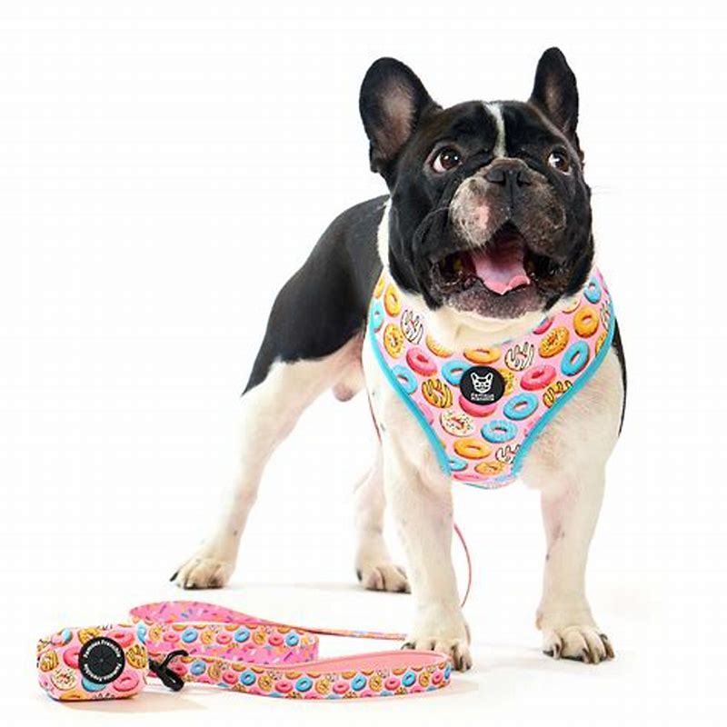 Famous Frenchie HAM REVERSIBIL - imagine produs