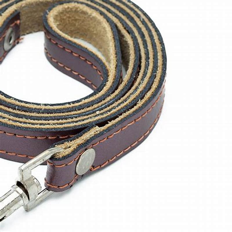 Lesa piele caini correa oasis 100 cm x 2.1 cm maro - imagine produs