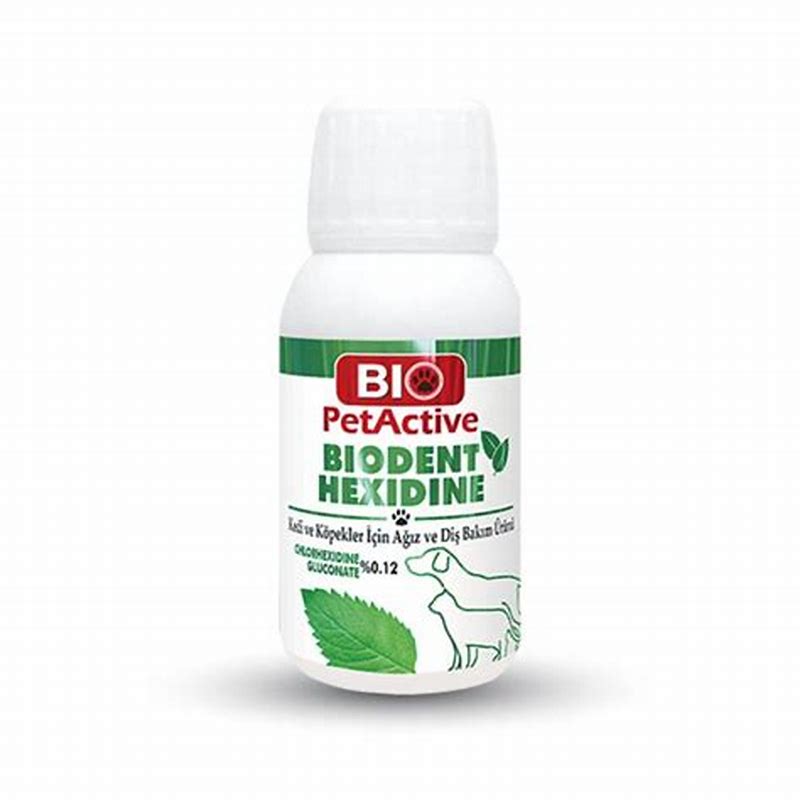 Bio PetActive Biodent Hexidine 50 ml - vedere frontală