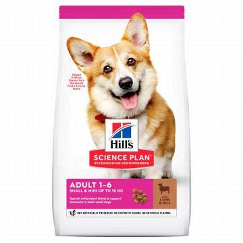 Sp Canine Adult S&M L&R 6 Kg - imagine produs
