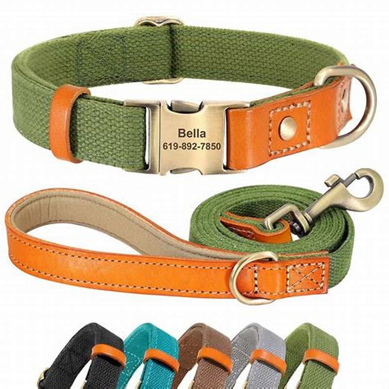 BOSS Dog Essentials zgarda lesa pentru caini - imagine produs