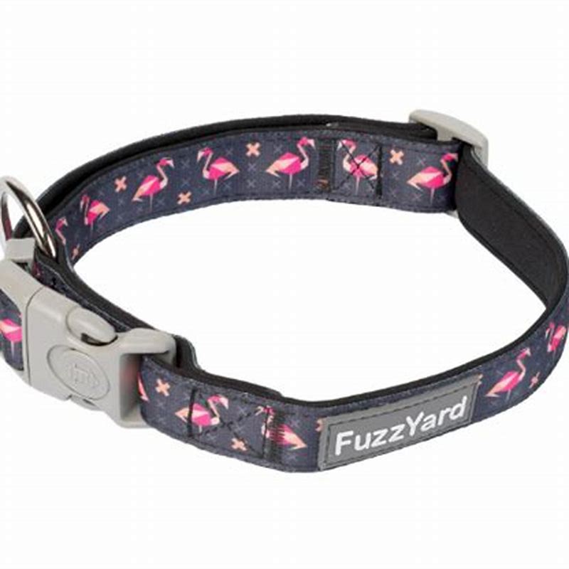 FuzzYard Neoprene Collar Heartbreaker M - imagine produs