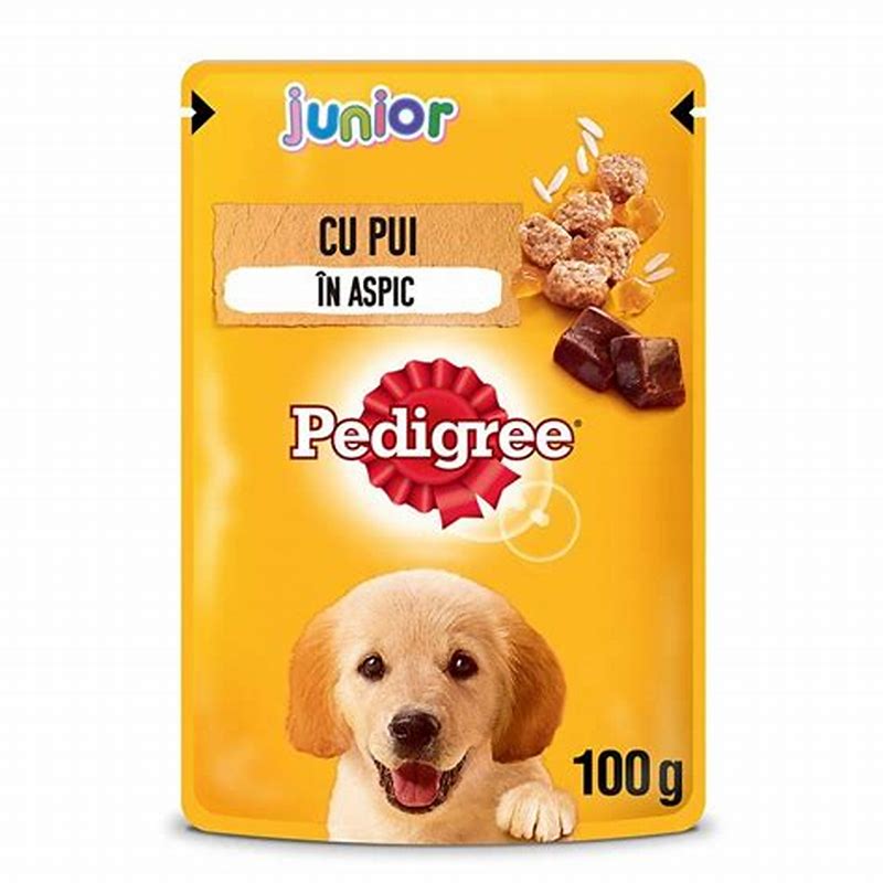 WISE Dog Junior hrana umeda pentru caini pui in sos 100 g - vedere frontală