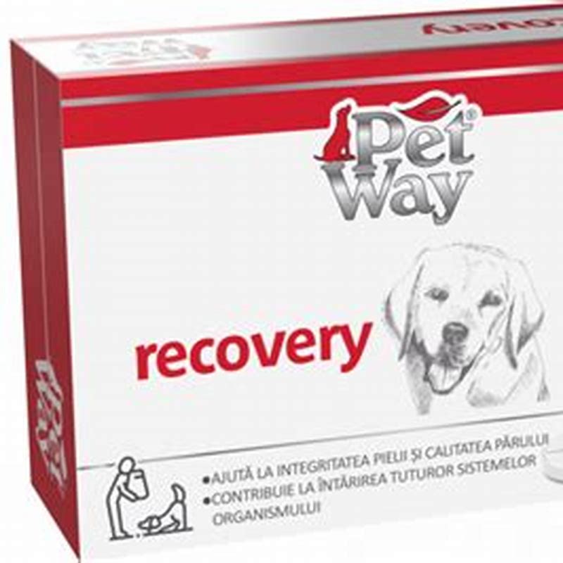 Petway Recovery 1 tableta - imagine produs