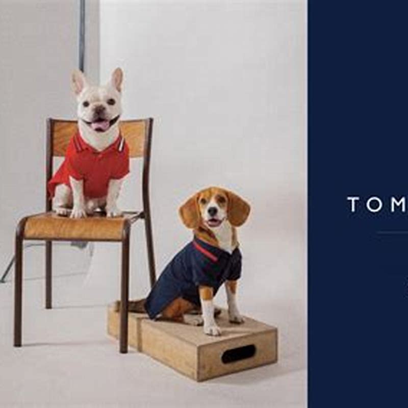 Tommy Hilfiger DOG CORE lesa Dessert sky/ Rosu S - imagine produs