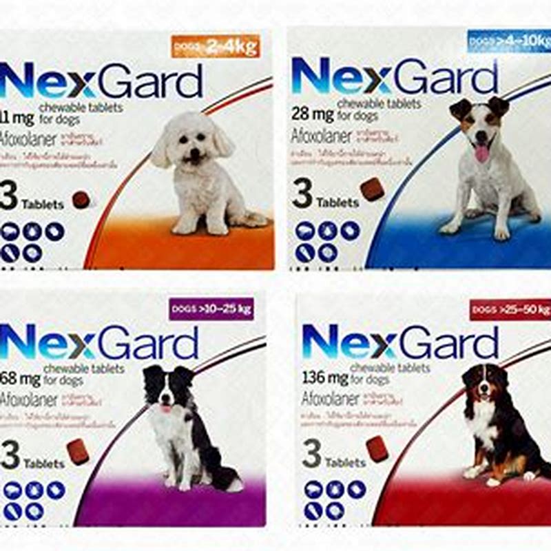 NexGard Dog M 4-10 Kg - detalii ambalaj