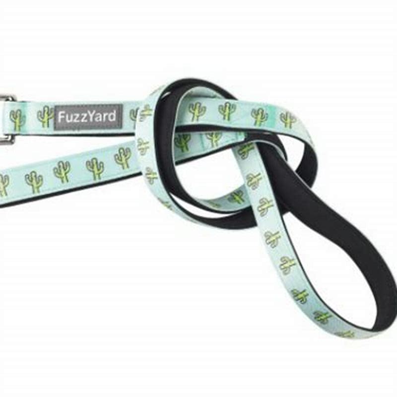 FuzzYard Neoprene Lead Aloha Dolphins L - imagine produs