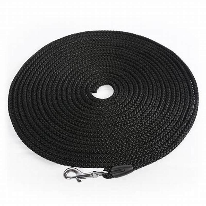 Lesa Neagra Flexigrip 10M - imagine produs