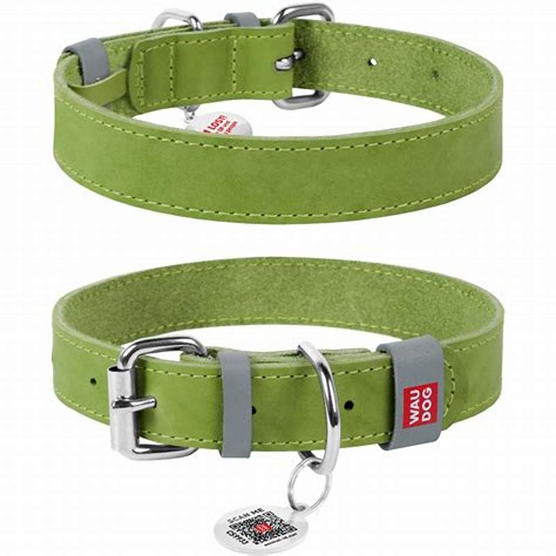 Waudog Zgarda piele naturala Stars cu QR Passport si reflectorizanta, 12mmx19-25cm, lime - detalii ambalaj