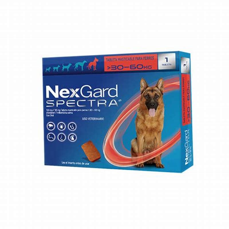 Nexgard Spectra Xl 30-60Kg - vedere frontală