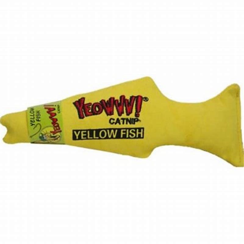Yeowww! Yellow fish - vedere frontală