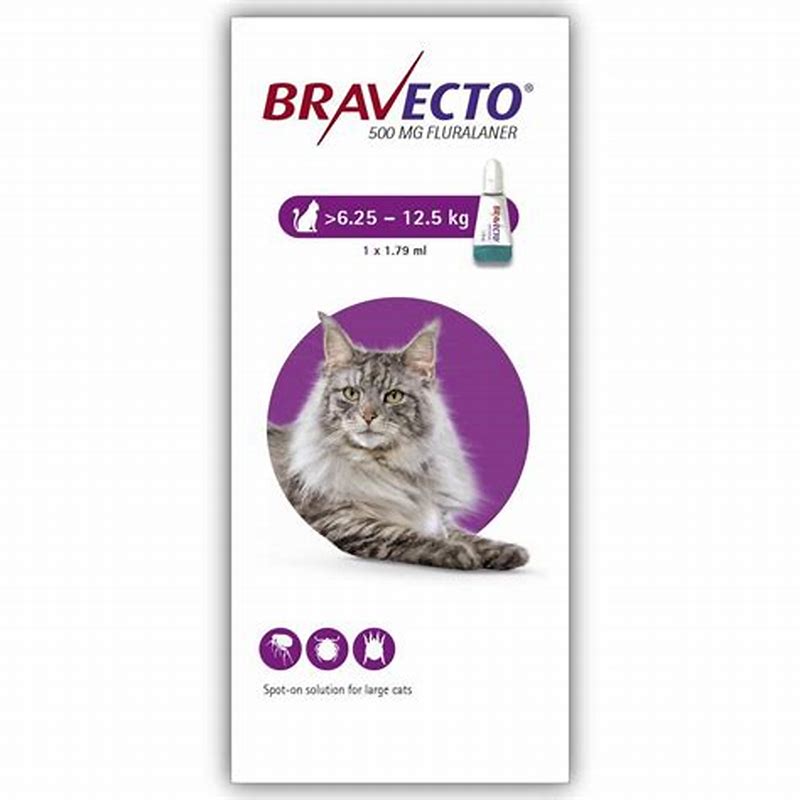BRAVECTO SPOT ON CAT 500MG(6.25-12.5KG) - detalii ambalaj
