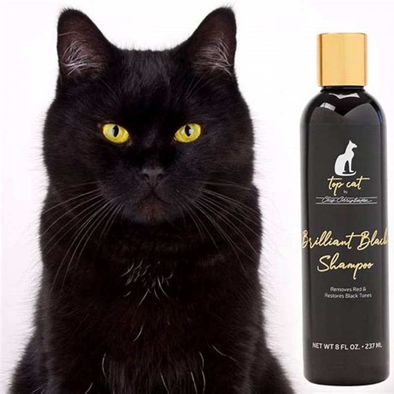 CCS Topcat Brilliant Black Sampon 236 ml - imagine produs