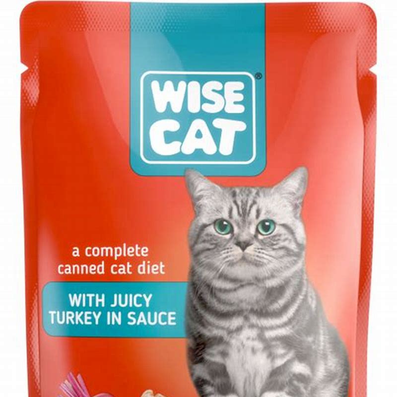 WISE Cat hrana umeda pentru pisici curcan in sos 100 g - vedere frontală