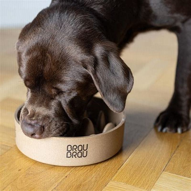 Bol Bamboo Slow Dining Bej BRAUBRAU (Câini & Pisici) M - imagine produs