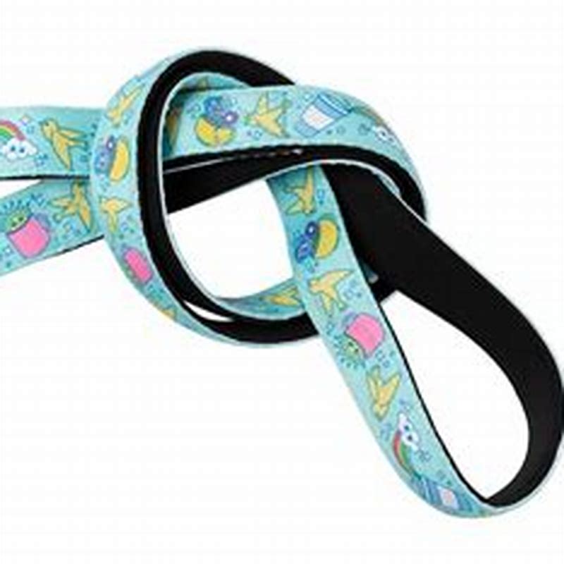 FuzzYard Neoprene Lead Wakey Wakey L - imagine produs