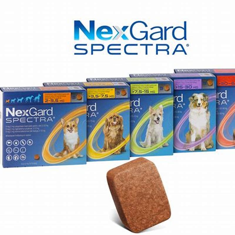 NexGard Spectra caini 3.5 -7.5 kg - vedere frontală