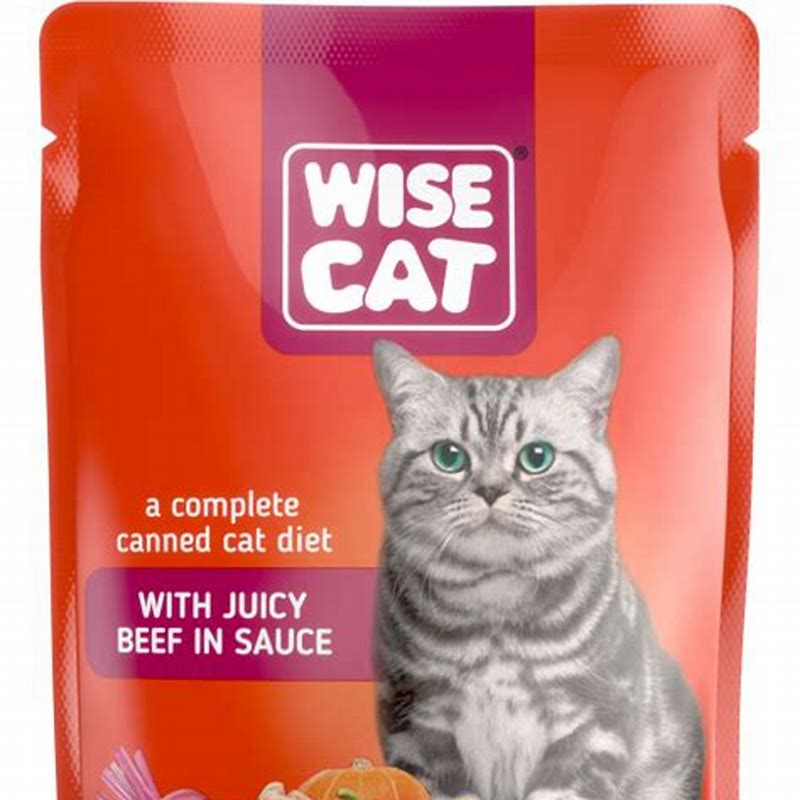 WISE CAT cu vita in sos hrana umeda pentru pisici 100 g - imagine produs