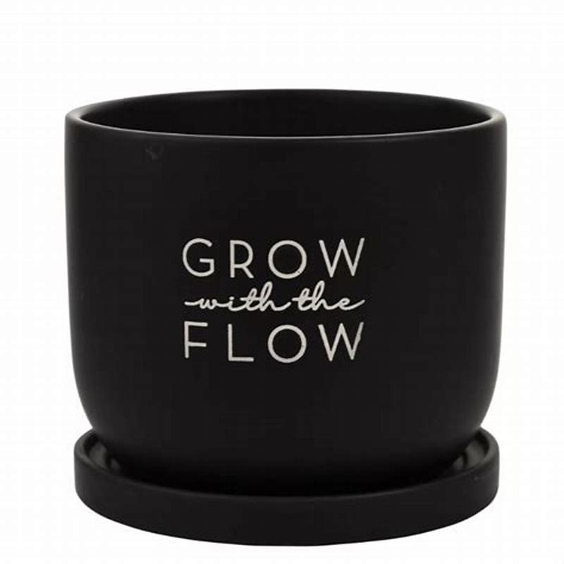 Flow Taste Grow ON - imagine produs