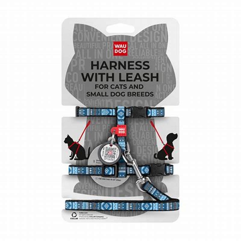 Waudog Ham nylon cu QR code Etno Blue 20mm50-80 cm - imagine produs