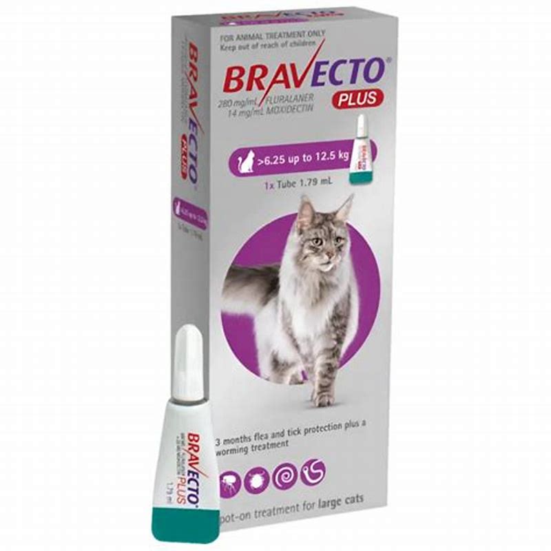 Bravecto Plus cats 112.5 mg x 1 pip - vedere frontală