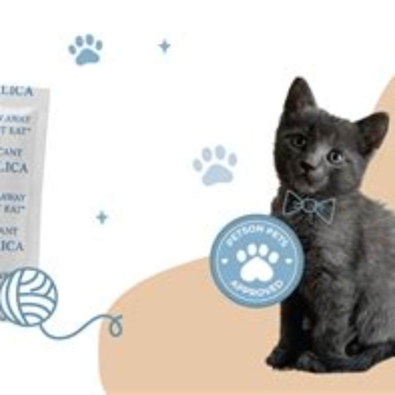 Petson desicant pet feeder - vedere frontală