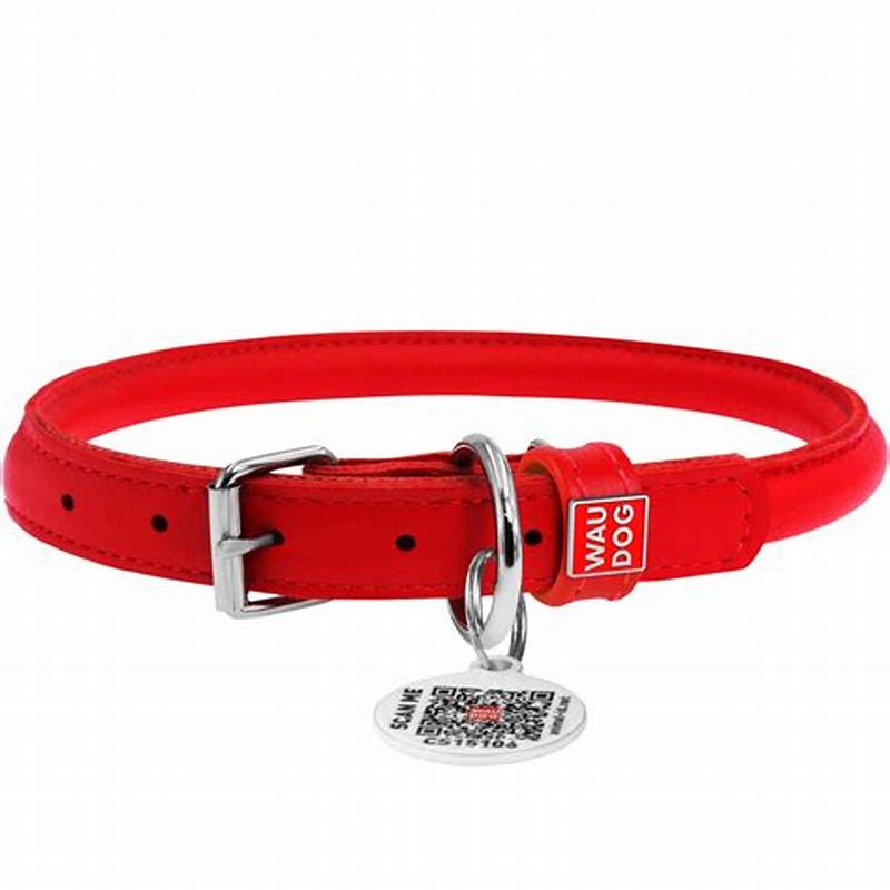 Waudog Zgarda piele naturala NASA cu QR Passport, 25mmx38-49 cm, alb - imagine produs