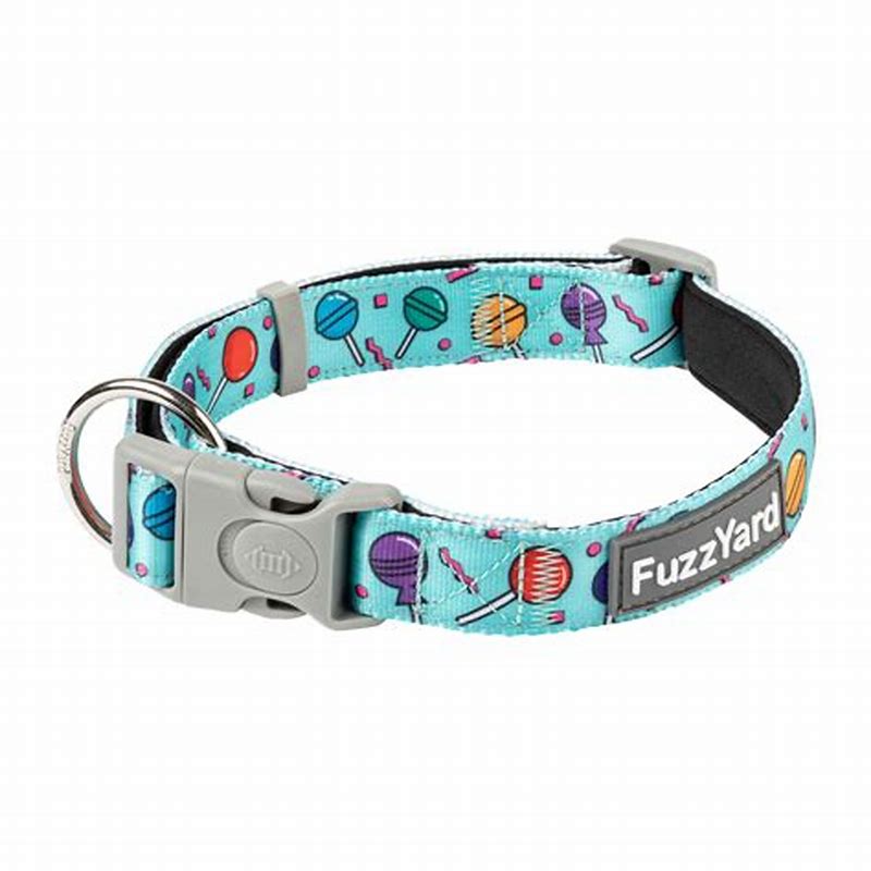 FuzzYard Neoprene Collar - Hey Suckers! M - imagine produs