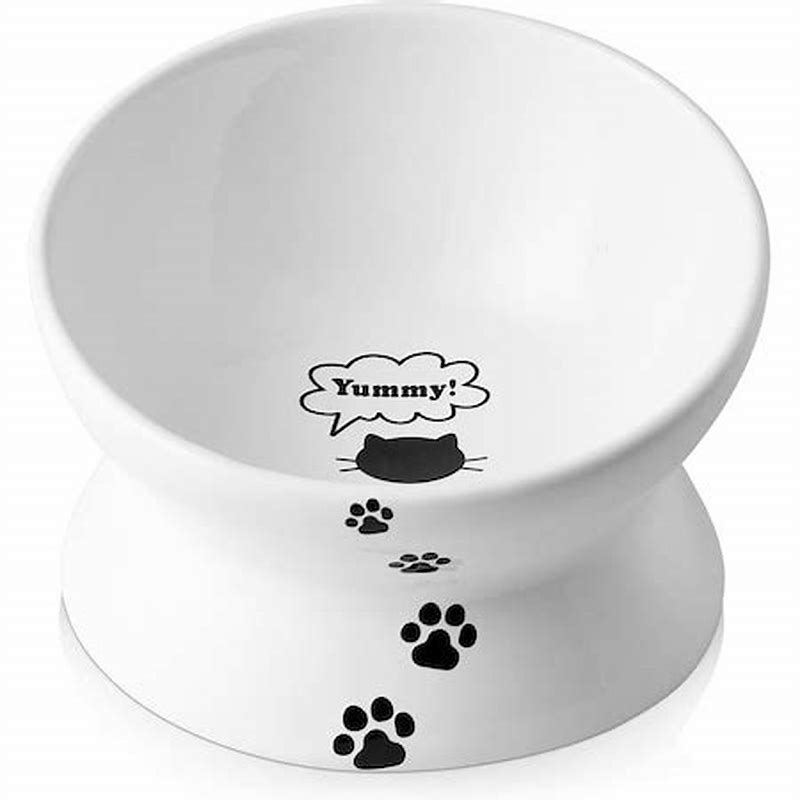 Bol inalt mare pentru pisici din ceramica - imagine produs