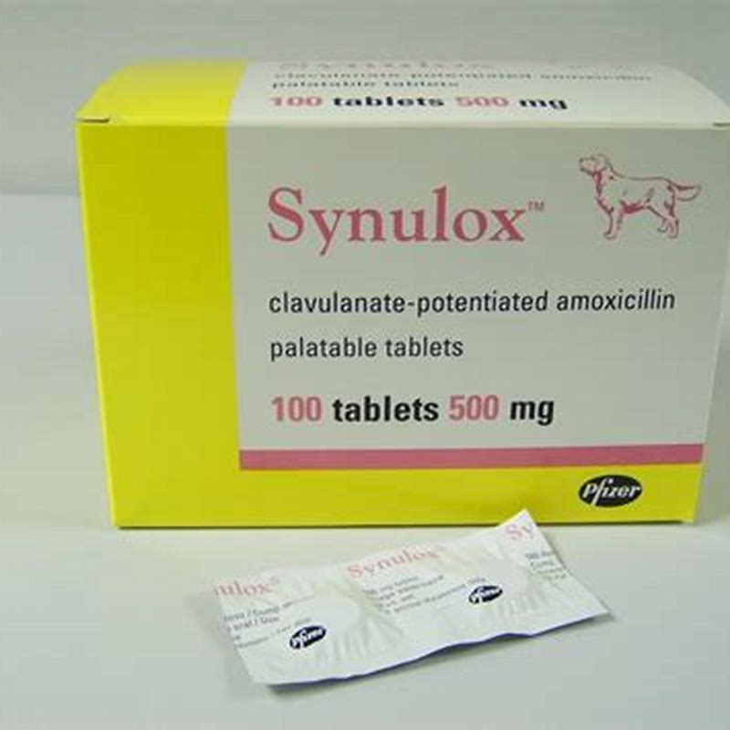Synulox tab 250mgx10 - imagine produs