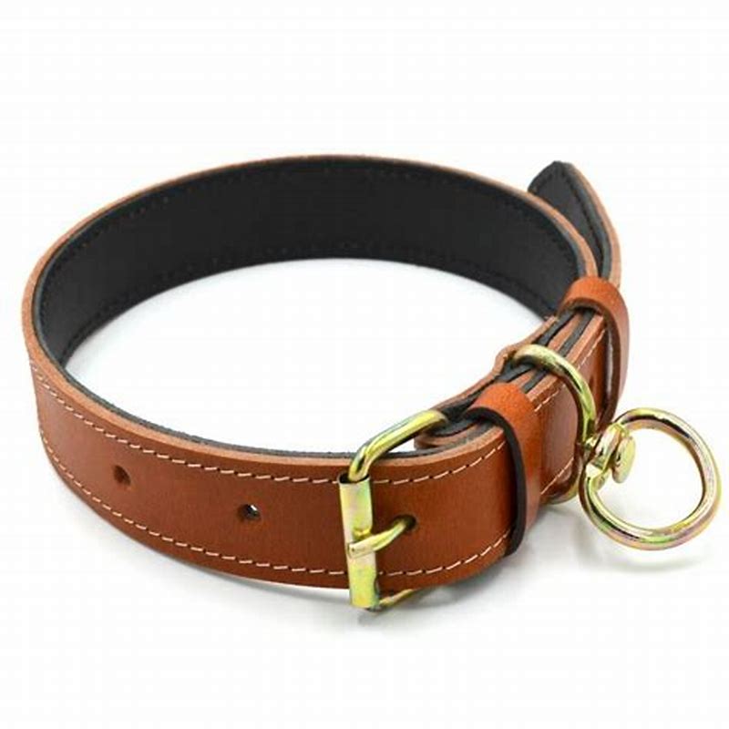Gloria Zgarda piele ecologica pentru caini 55 cm galbena - detalii ambalaj