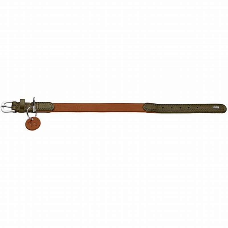Gloria zgarda din piele pentru caini 40 cm x 2 cm verde - imagine produs