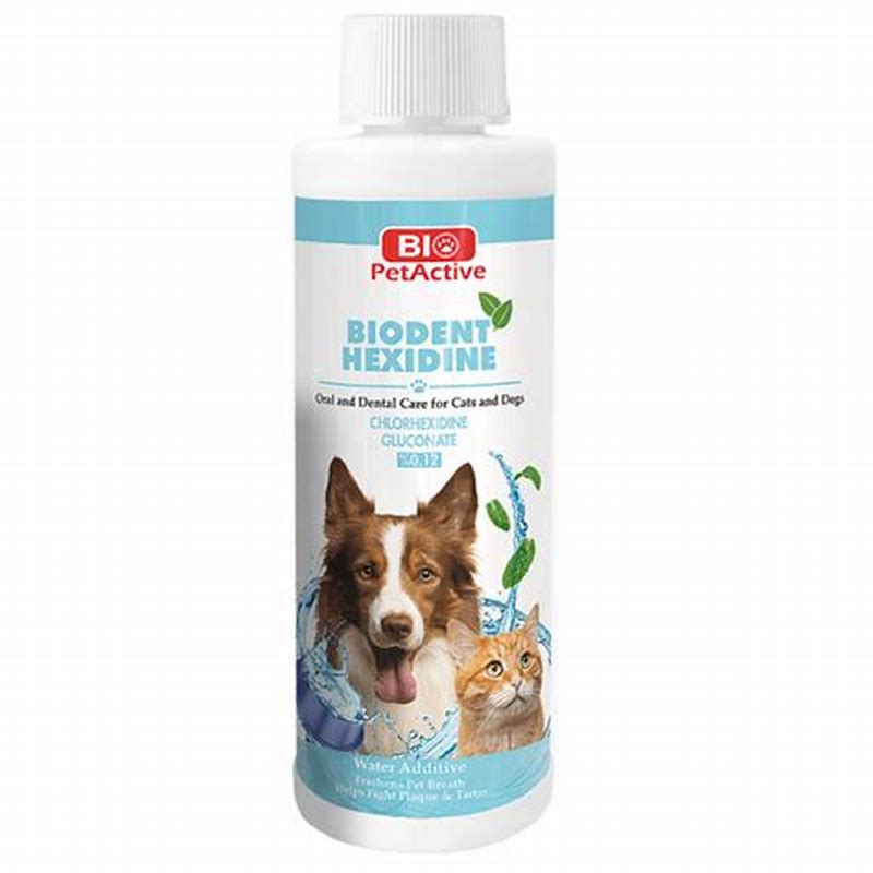 Bio PetActive Biodent Hexidine 250 ml - vedere frontală
