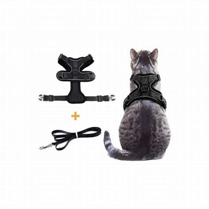 Ham tactic Eurojoe ajustabil xLarge - imagine produs