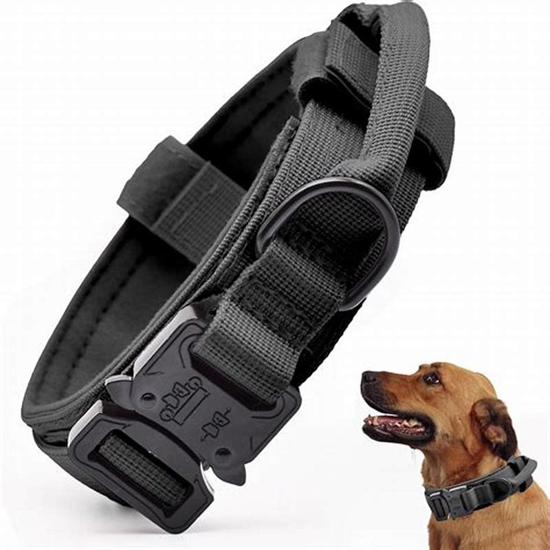 Ham din nylon Gloria – reglabil, rezistent, pentru câini S negru - imagine produs